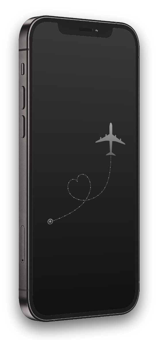 Custom screen protector - Tempered Glass - Flight – falcon-shield